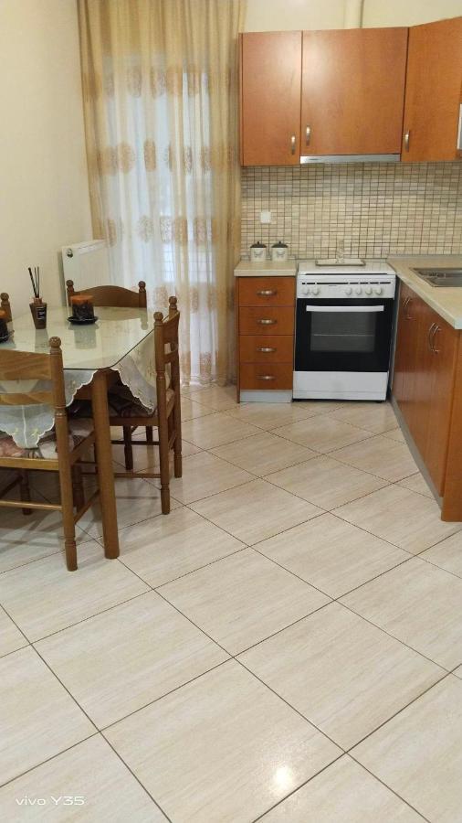 Ομορφο Διαμερισμα Στο Κεντρο Της Πολης Με Παρκιν Apartamento Trikala  Exterior foto