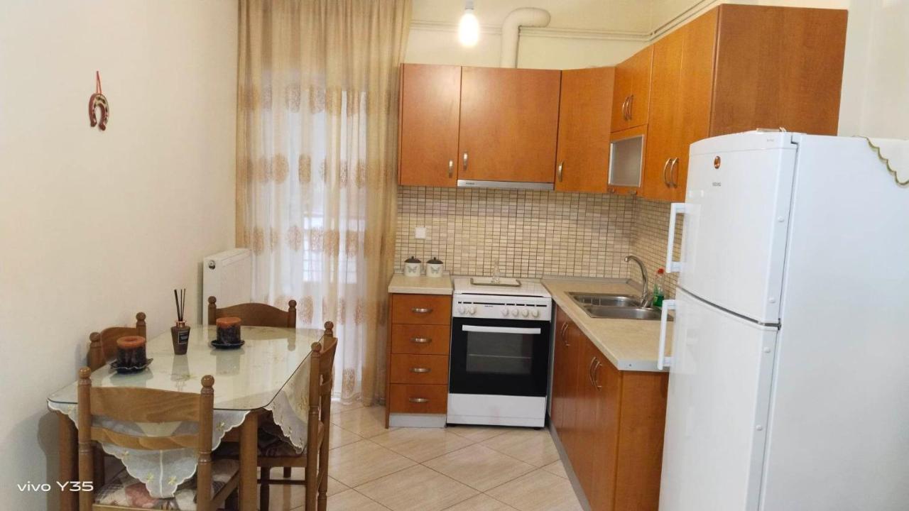 Ομορφο Διαμερισμα Στο Κεντρο Της Πολης Με Παρκιν Apartamento Trikala  Exterior foto